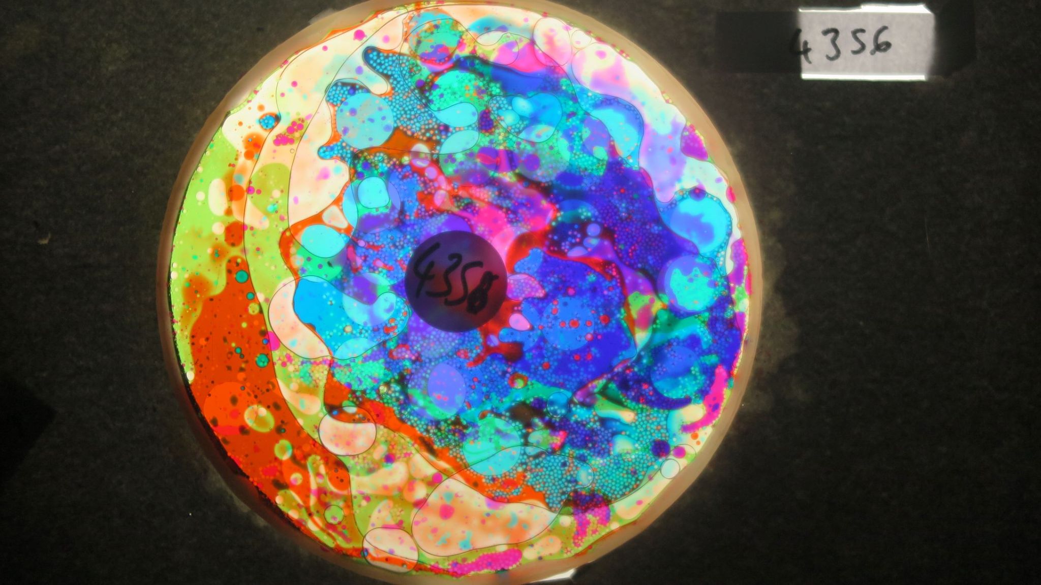 BV4356 bubble vision oil wheel